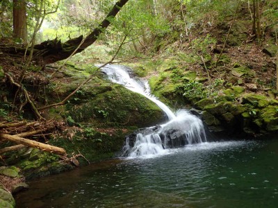 P5200020.jpg (116.73 KiB) 閲覧された回数 2765 回 南松の滝