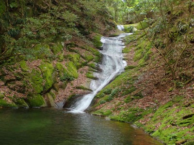 P5200025.jpg (125.73 KiB) 閲覧された回数 2769 回 熊ヶ滝