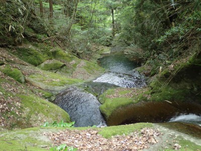 P5200041.jpg (116.19 KiB) 閲覧された回数 2769 回 熊ヶ滝の落ち口から下を見る