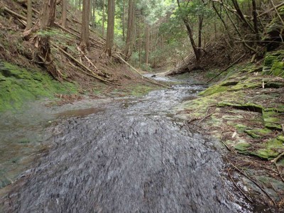 P5200098.jpg (115.93 KiB) 閲覧された回数 2769 回 舗装道路のようなナメ