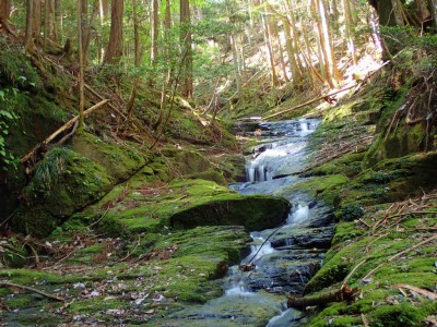 P5250037.jpg (131.79 KiB) 閲覧された回数 1771 回 龍口大滝前のナメ斜滝