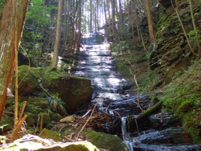 P5250046.jpg (106.2 KiB) 閲覧された回数 1772 回 陀羅滝25m