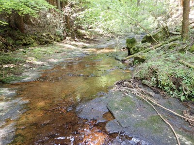 P5250093.jpg (129.61 KiB) 閲覧された回数 1771 回 倶呂滝上流のナメ