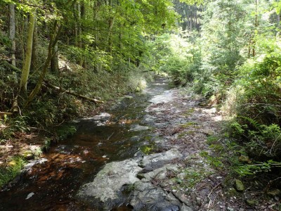 まだまだ続くナメ