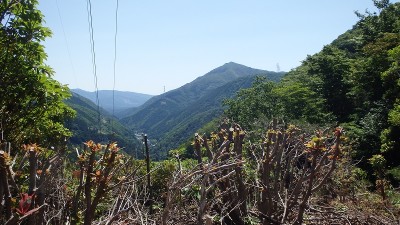 P5293890.jpg (447.73 KiB) 閲覧された回数 1856 回 p480から烏帽子岳と時山集落