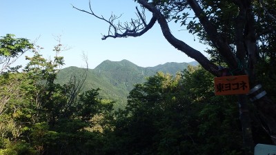 P5293913.jpg (370.92 KiB) 閲覧された回数 1856 回 東ヨコネから三国岳