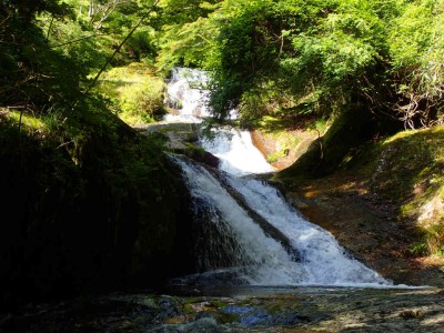 P6010039.jpg (109.1 KiB) 閲覧された回数 1826 回 長走りの滝