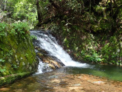 P6010129.jpg (119.19 KiB) 閲覧された回数 1826 回 済浄坊の滝上流の滝