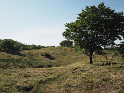 青のドリーネ.JPG (166.79 KiB) 閲覧された回数 3170 回 青のドリーネとブナの孤樹