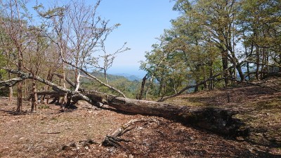 白サコの南　海の見える場所