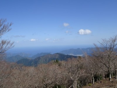 これは2019年の写真　△1411から