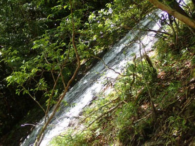 P6080025.jpg (146.76 KiB) 閲覧された回数 1709 回 布引滝を横から見る