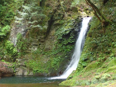 P6080094.jpg (132.15 KiB) 閲覧された回数 1709 回 琵琶滝