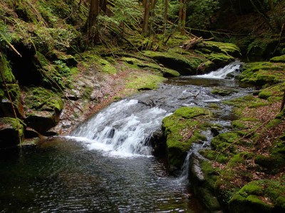 滝川右俣支流