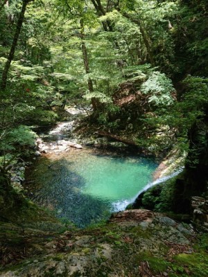 土倉滝　上から - コピー.jpg