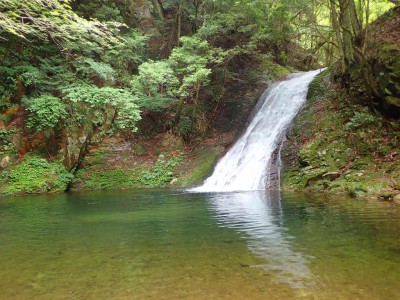 済浄坊上の滝8m（6月1日撮影）