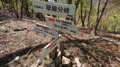 木組峠道標 - コピー.jpg