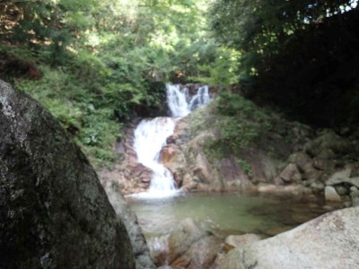 P7070002.jpg (57.28 KiB) 閲覧された回数 2488 回 魚止滝