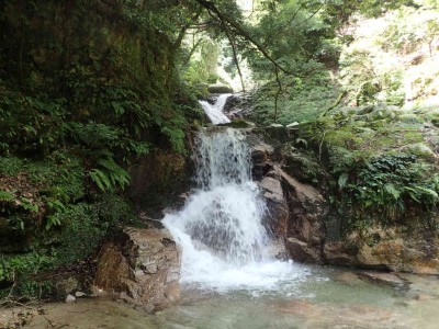 P7070059.jpg (103.69 KiB) 閲覧された回数 2488 回 女郎滝