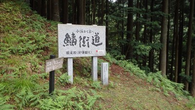 P7113941.jpg (477.58 KiB) 閲覧された回数 10234 回 百里ヶ岳への登山口