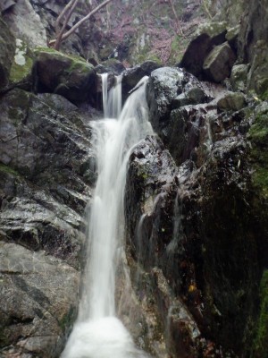 ざぶざぶと股まで水に浸かって。