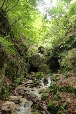 biwa爺さんが潜ったのはここ？