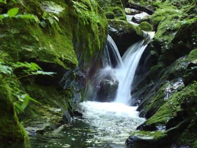 P8010014.jpg (85.98 KiB) 閲覧された回数 2425 回 奥山谷