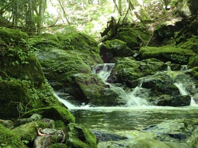 P8010025.jpg (109.12 KiB) 閲覧された回数 2419 回 奥山谷