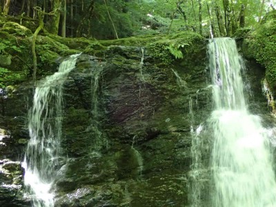 P8010035.jpg (91.76 KiB) 閲覧された回数 2418 回 奥山谷