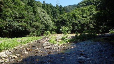 P7304102.jpg (495.7 KiB) 閲覧された回数 3241 回 ナラノ谷分岐