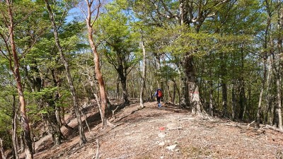 16601965919640 - コピー.jpg