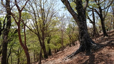 16601969184255 - コピー.jpg