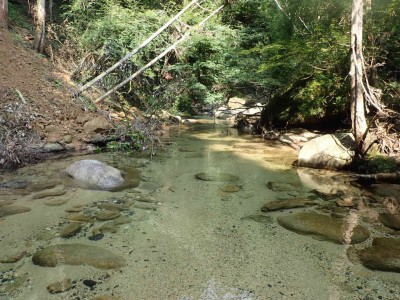 P8090006.jpg (122.88 KiB) 閲覧された回数 2396 回 穏やかな石谷川