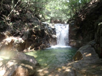 P8090032.jpg (57.16 KiB) 閲覧された回数 2393 回 7m滝