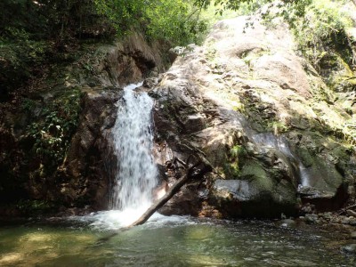 P8090041.jpg (107.48 KiB) 閲覧された回数 2393 回 白雲の滝