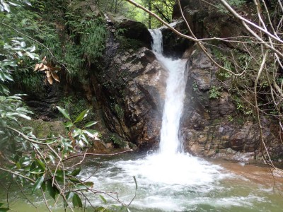 P8090060.jpg (111.75 KiB) 閲覧された回数 2396 回 5m滝