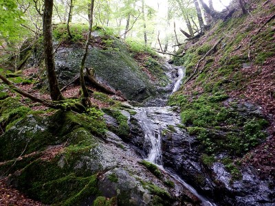 ランチ岩の横に甌穴