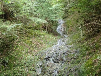 茶屋滝　下段の滝