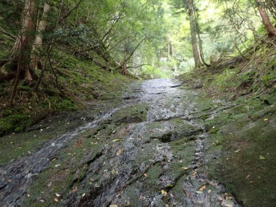 P9070018.jpg (116.65 KiB) 閲覧された回数 1905 回 ナメ