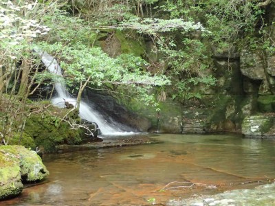 P9070064.jpg (103.09 KiB) 閲覧された回数 1905 回 行動の滝 上段の滝
