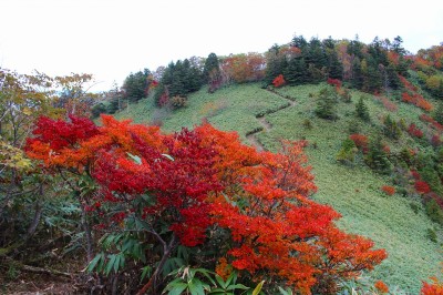 IMG_7240.jpg (692.86 KiB) 閲覧された回数 11952 回 位山