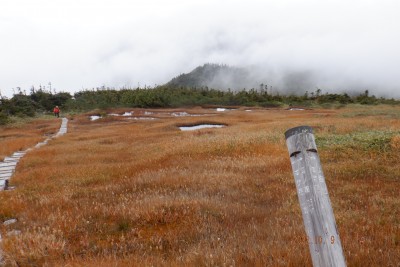 @DSCF0031.JPG (936.13 KiB) 閲覧された回数 1625 回 池が岳