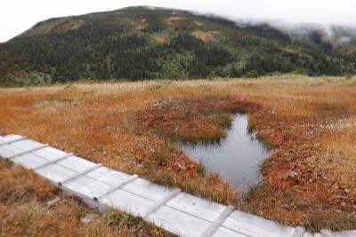 @DSCF0044.JPG (1.05 MiB) 閲覧された回数 1625 回 平ヶ岳