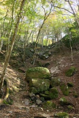 午後3時半のブナ清水
