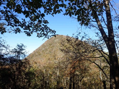 PA260024.jpg (148.31 KiB) 閲覧された回数 4678 回 鈴が岳