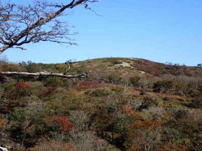 PA260031.jpg (107.74 KiB) 閲覧された回数 4678 回 鈴北岳