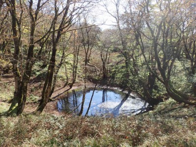 PA260043.jpg (151.88 KiB) 閲覧された回数 4672 回 池