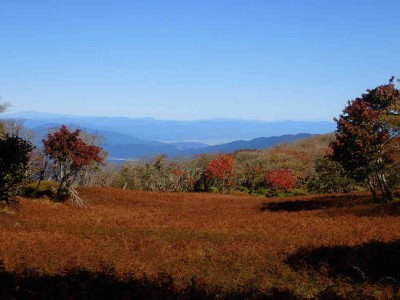 PA260050.jpg (65.37 KiB) 閲覧された回数 4667 回 テーブルランドの草紅葉