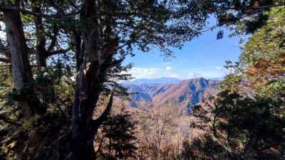 樹間から能郷白山の姿も