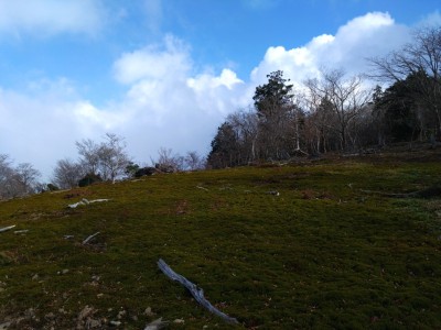 16683415843310 - コピー.jpg